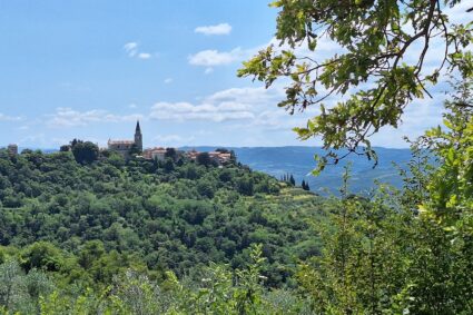 West coast and hill tops Istria tour