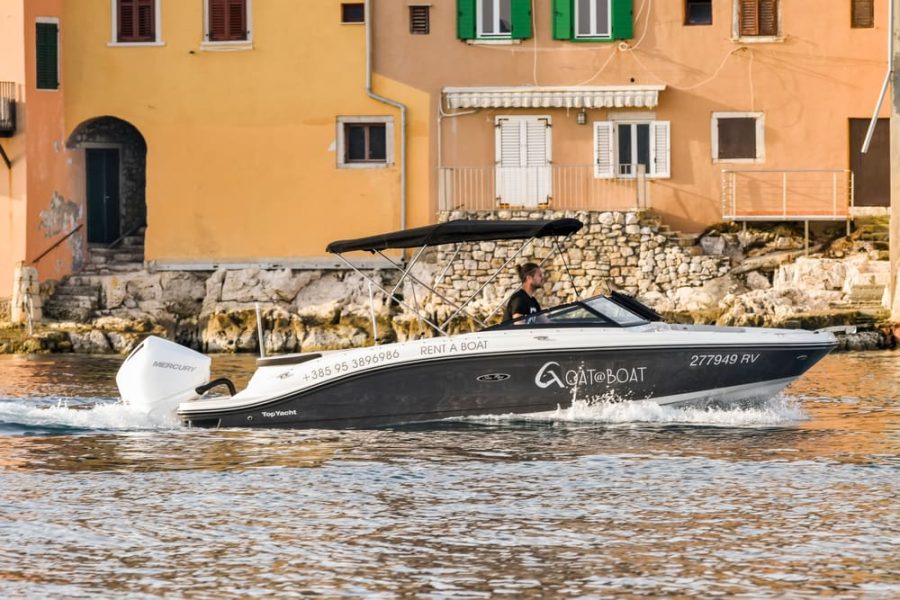 Sunrise dolphin watching