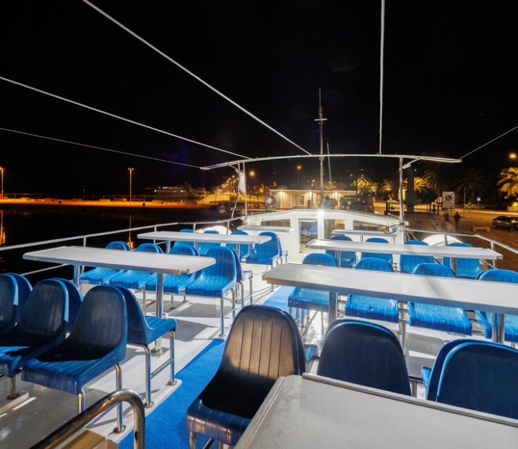 Arena boat tours (3)