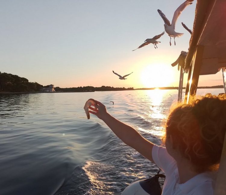 Arena boat tours (6)