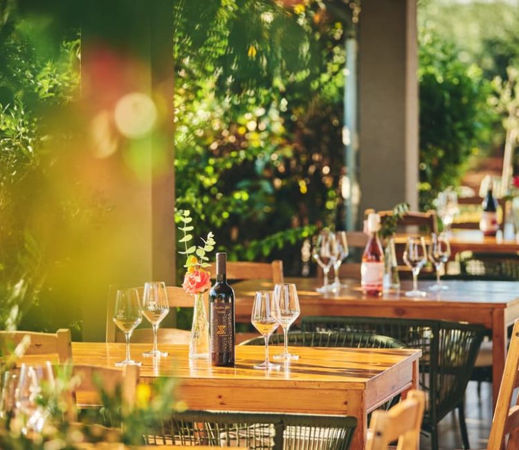 Authentic Wine Tasting, Pervino Winery In Novigrad (10)