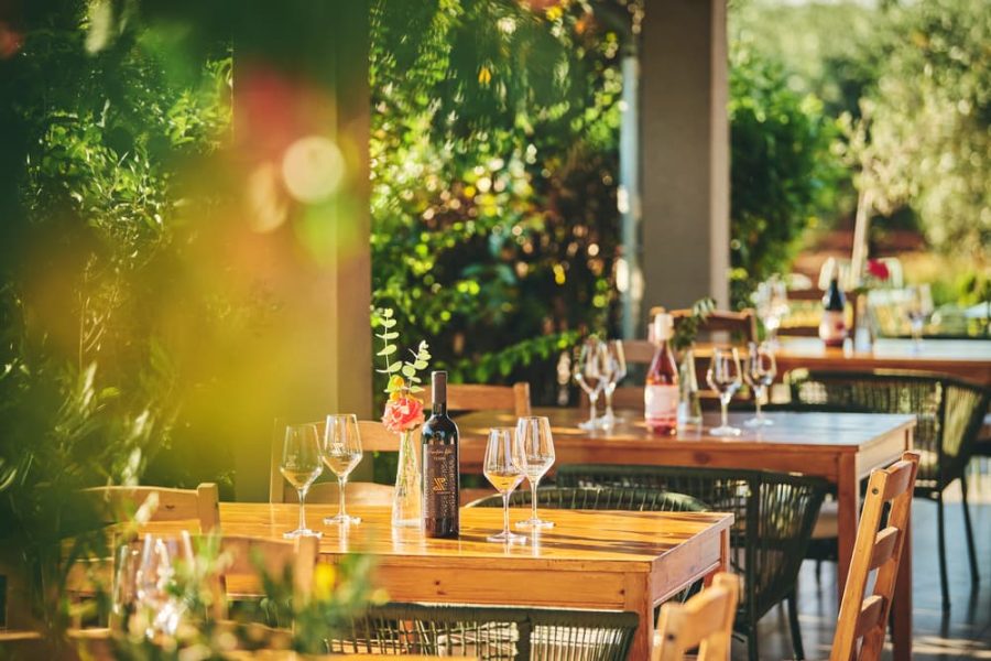 Authentic Wine Tasting, Pervino Winery In Novigrad (10)