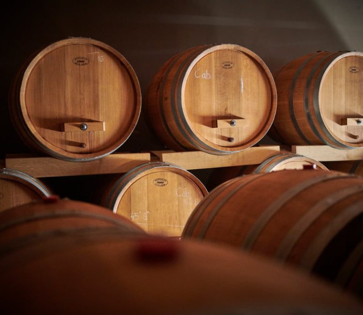 Authentic Wine Tasting, Pervino Winery In Novigrad (8)