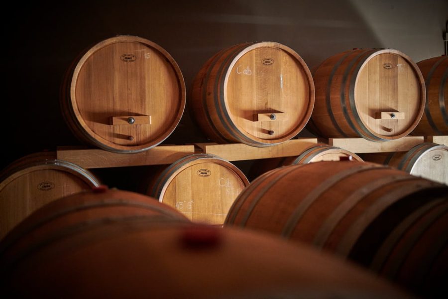 Authentic Wine Tasting, Pervino Winery In Novigrad (8)