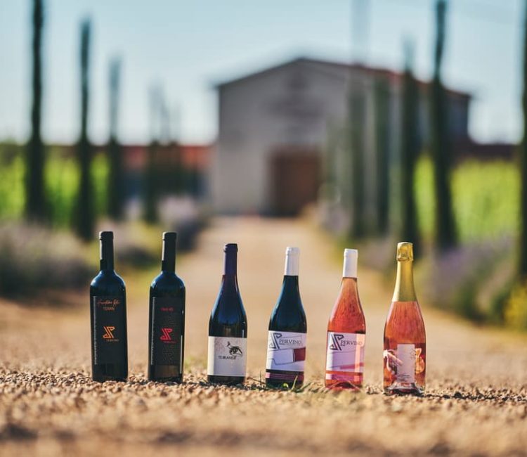 Authentic Wine Tasting, Pervino Winery In Novigrad (9)