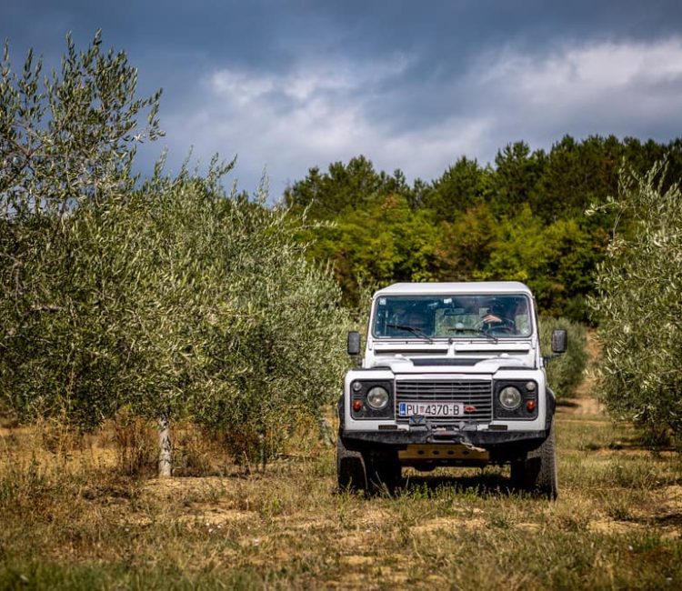 Central Istria off-road tour by Saorsa (4)