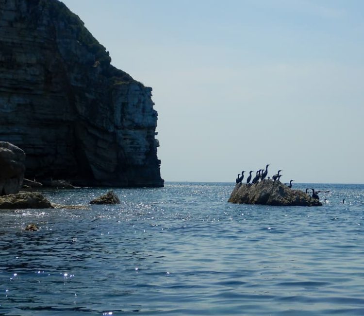 Cliffs and cave kayak adventure (9)