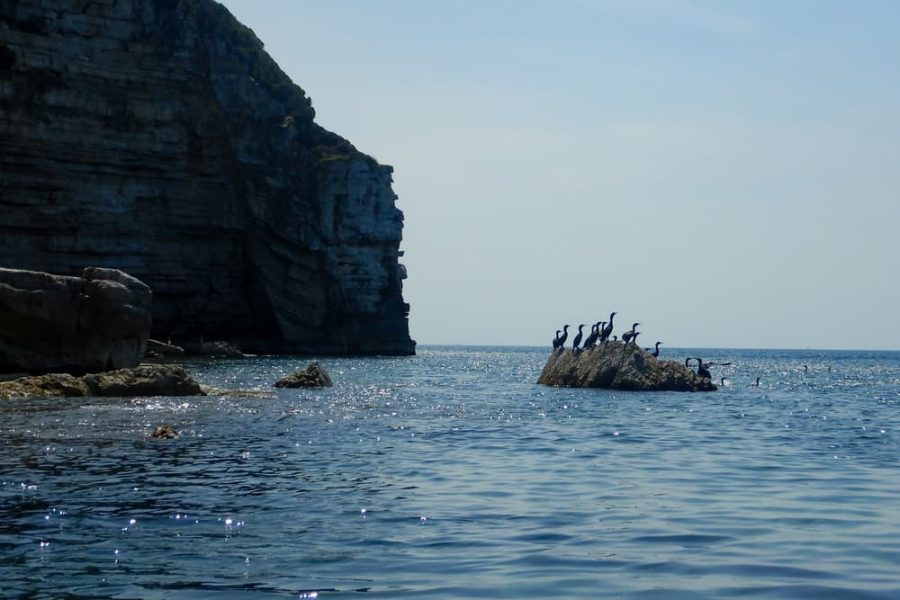 Cliffs and cave kayak adventure (9)