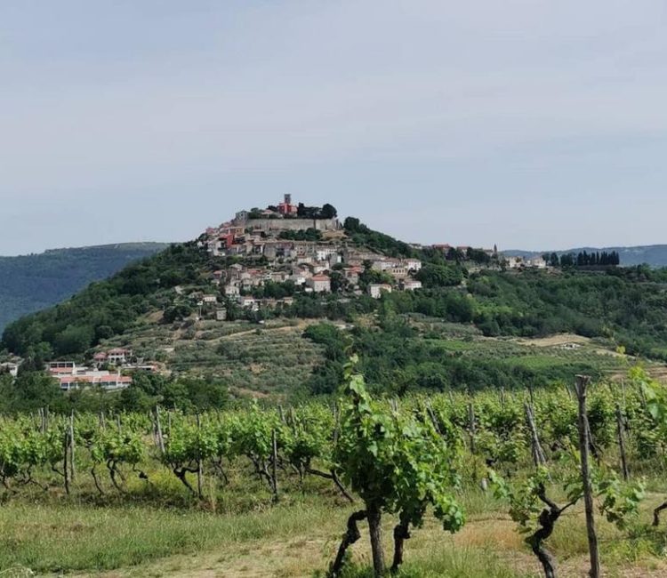 Full day Istria tour with truffle tasting by Histria Guide (5)