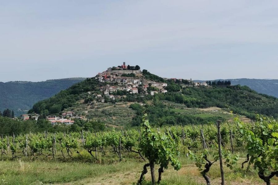 Full day Istria tour with truffle tasting by Histria Guide (5)
