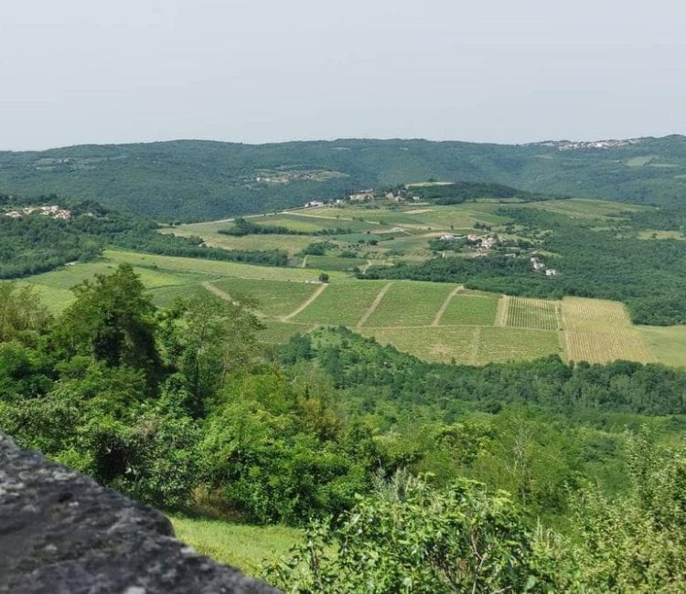 Full day Istria tour with truffle tasting by Histria Guide (7)