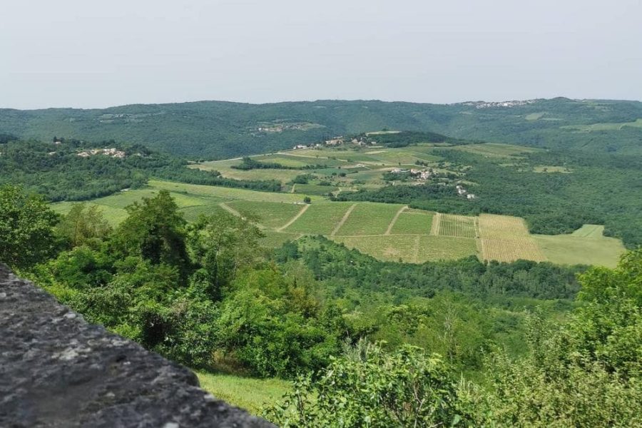Full day Istria tour with truffle tasting by Histria Guide (7)