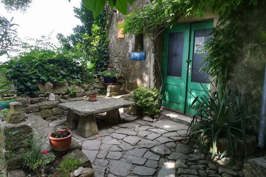 Full day Istria tour with truffle tasting by Histria Guide (8)