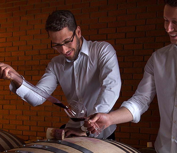 Guided wine advanced testing at Deklić winery (1)