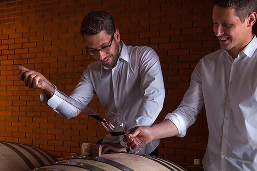 Guided wine advanced testing at Deklić winery (1)