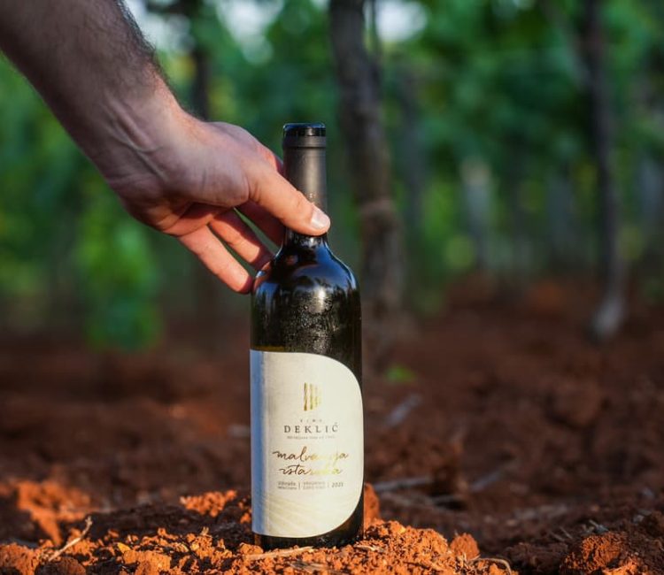 Guided wine advanced testing at Deklić winery (2)