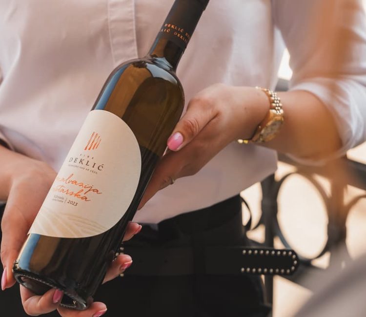 Guided wine advanced testing at Deklić winery (4)