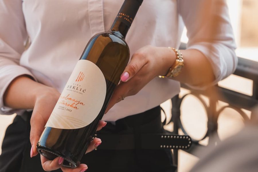 Guided wine advanced testing at Deklić winery (4)
