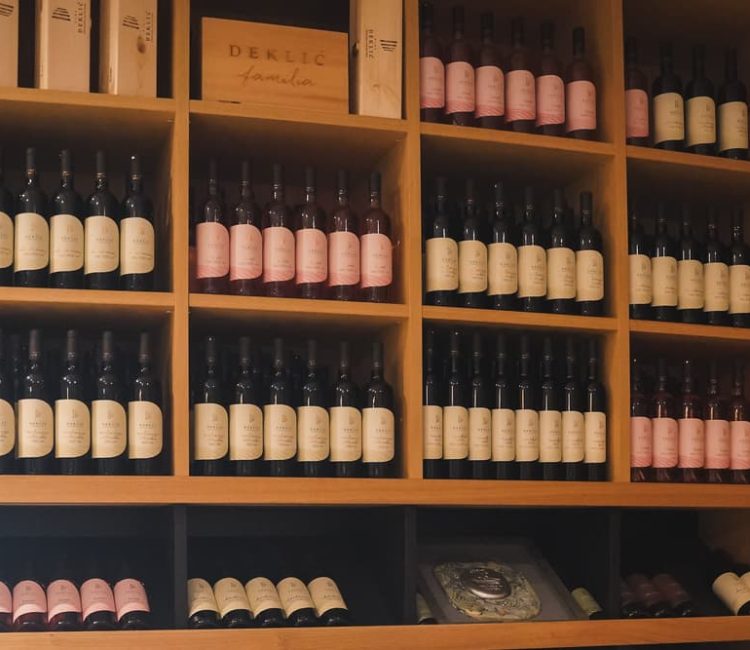 Guided wine advanced testing at Deklić winery (5)