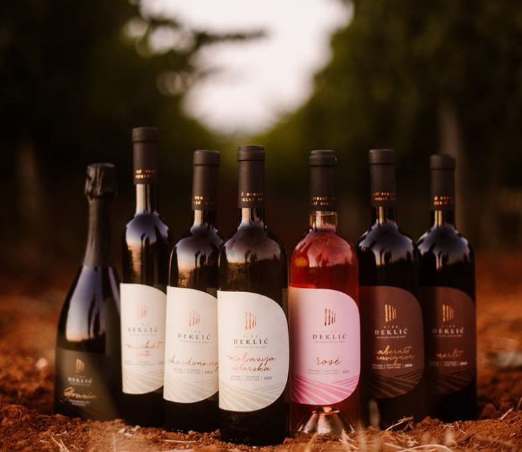 Guided wine advanced testing at Deklić winery (8)