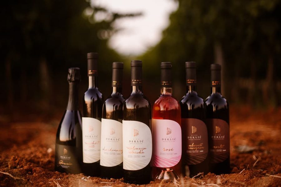 Guided wine advanced testing at Deklić winery (8)