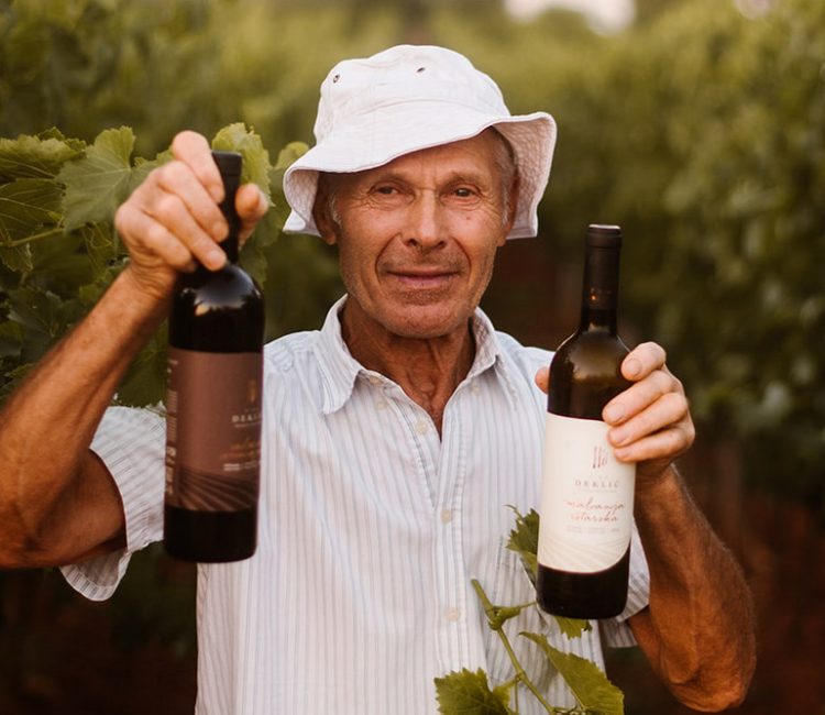 Guided wine fresh tasting at Deklić Winery (1)