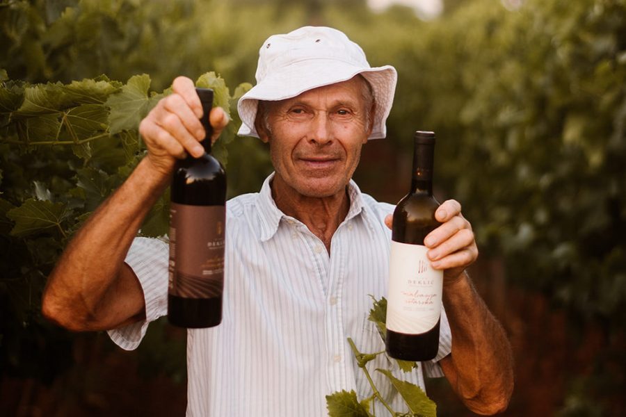 Guided wine fresh tasting at Deklić Winery (1)