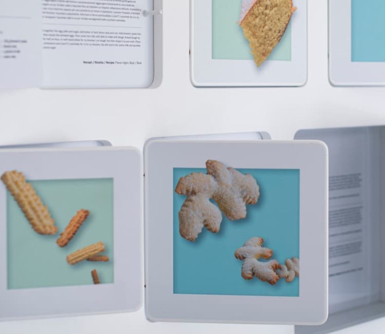 House of Hidden History - Maraston Vižinada (5)