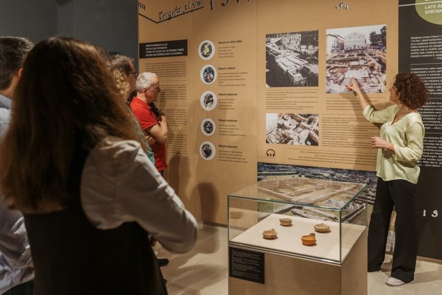 House of Istrian Olive Oil_museum visit
