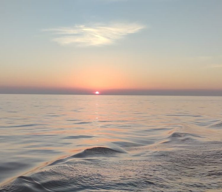 Kristofor - izlet Delfini (1)