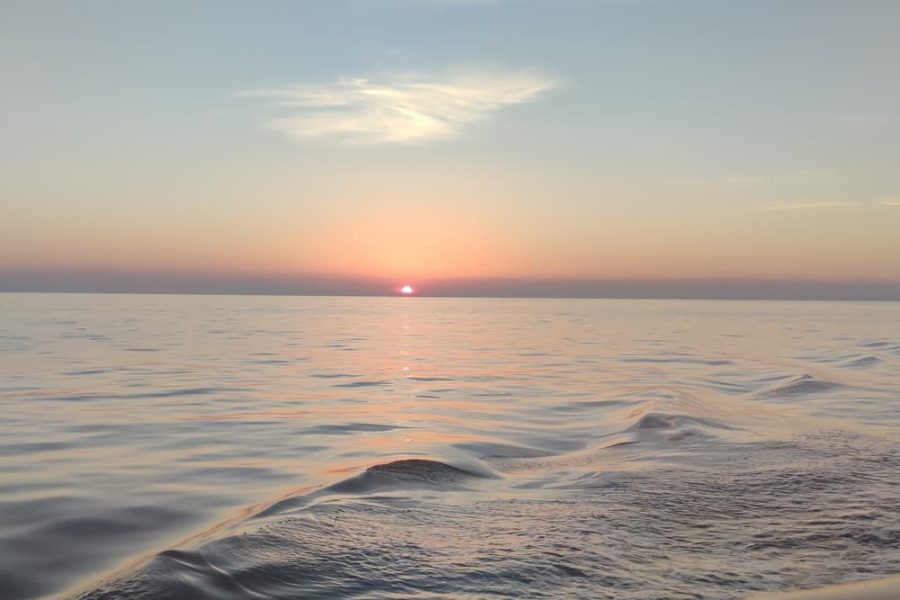 Kristofor - izlet Delfini (1)