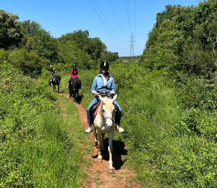 Mindfulness retreat (1)