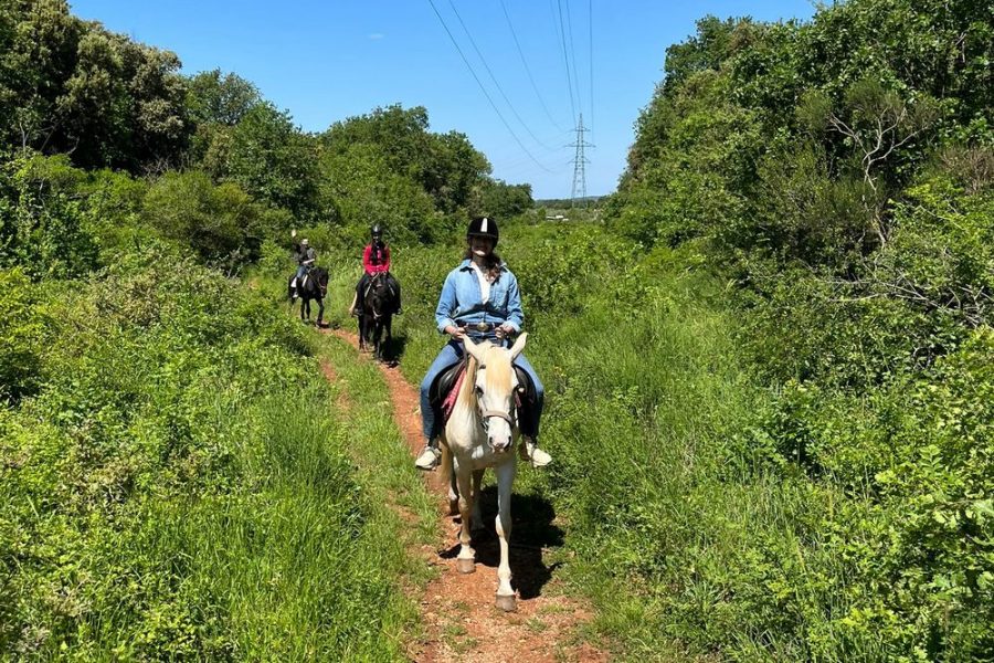 Mindfulness retreat (1)