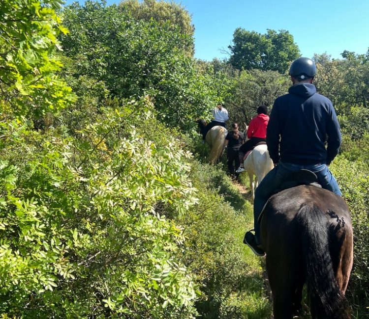 Mindfulness retreat (5)