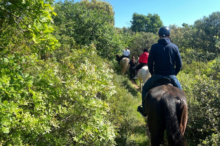 Mindfulness retreat (5)