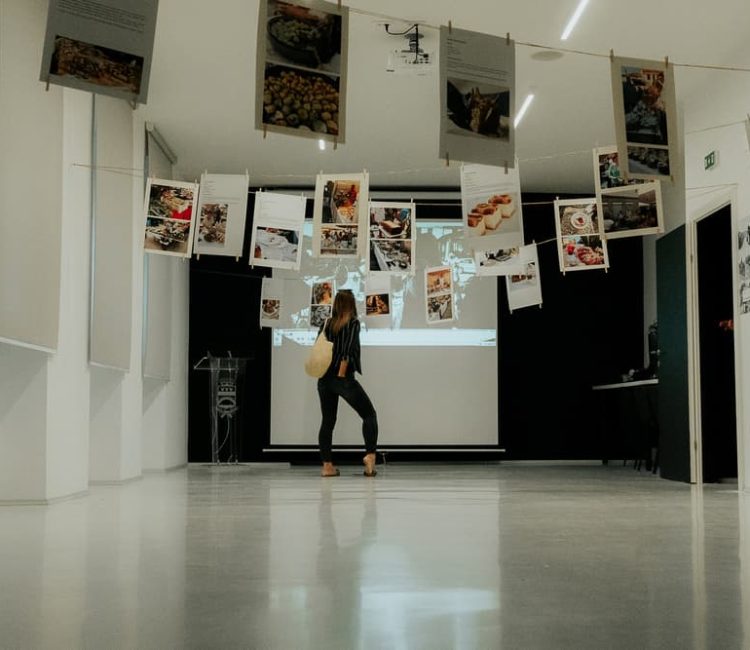 Multimedia visitors center Barban (10)