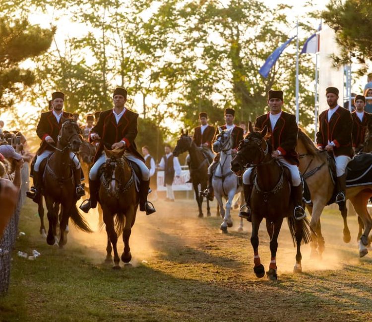 Multimedia visitors center Barban (2)