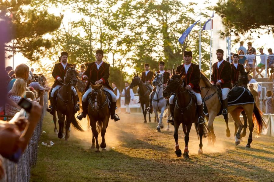 Multimedia visitors center Barban (2)