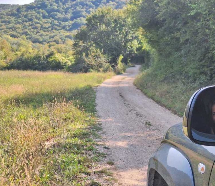 Off road tour, high hills of Istria (4)