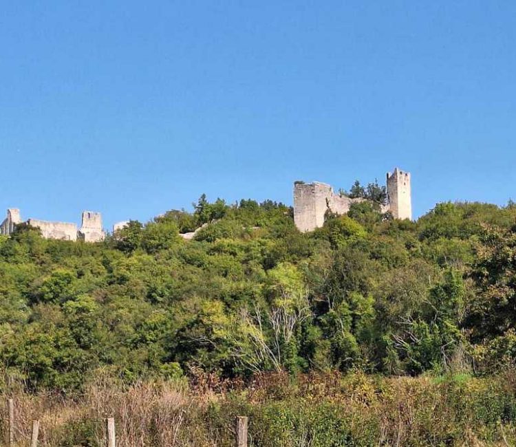 Off road tour, high hills of Istria (5)