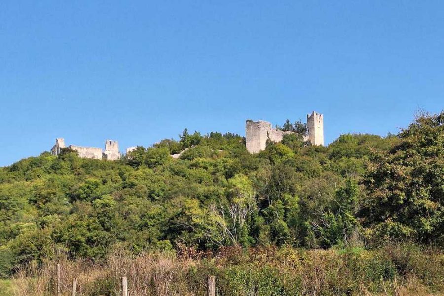 Off road tour, high hills of Istria (5)