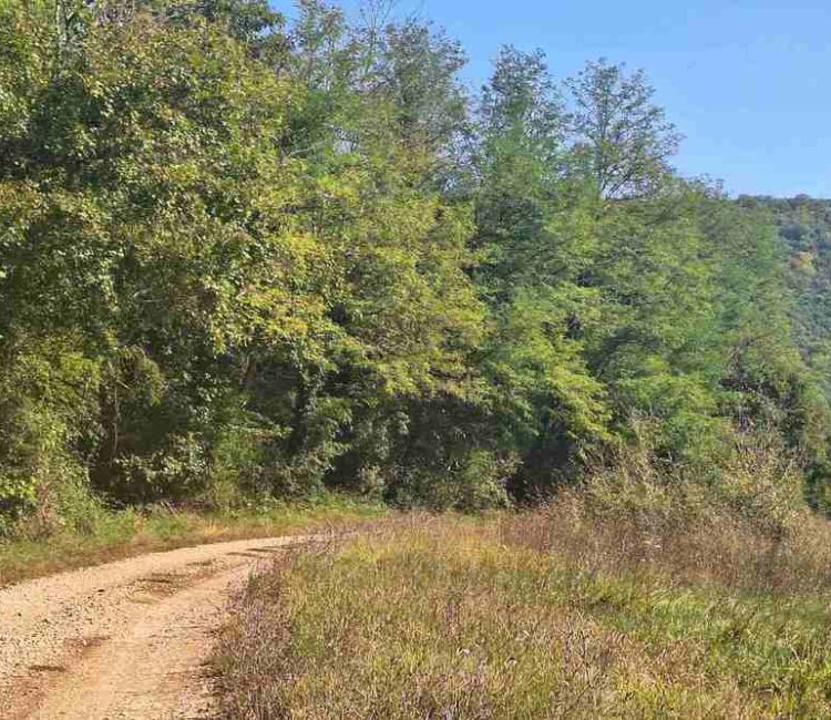 Off road tour, high hills of Istria (6)