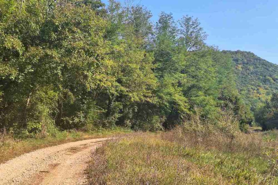 Off road tour, high hills of Istria (6)