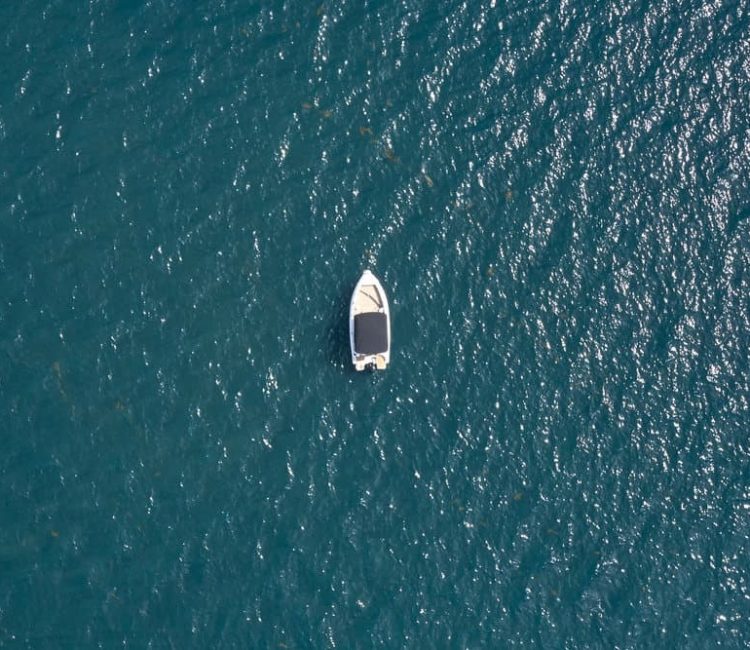 Panorama boat tour with snorkeling & dolphins, Poreč (4)