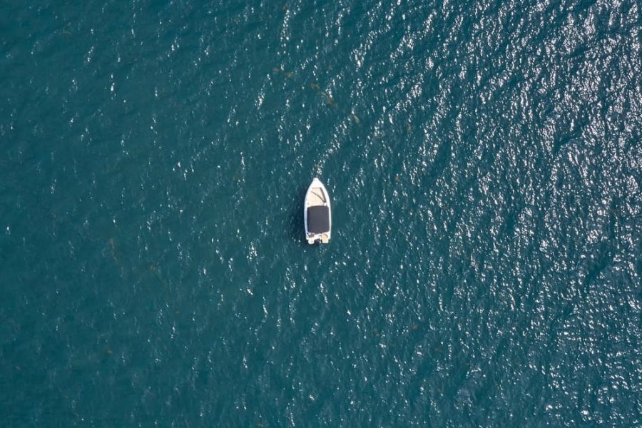 Panorama boat tour with snorkeling & dolphins, Poreč (4)