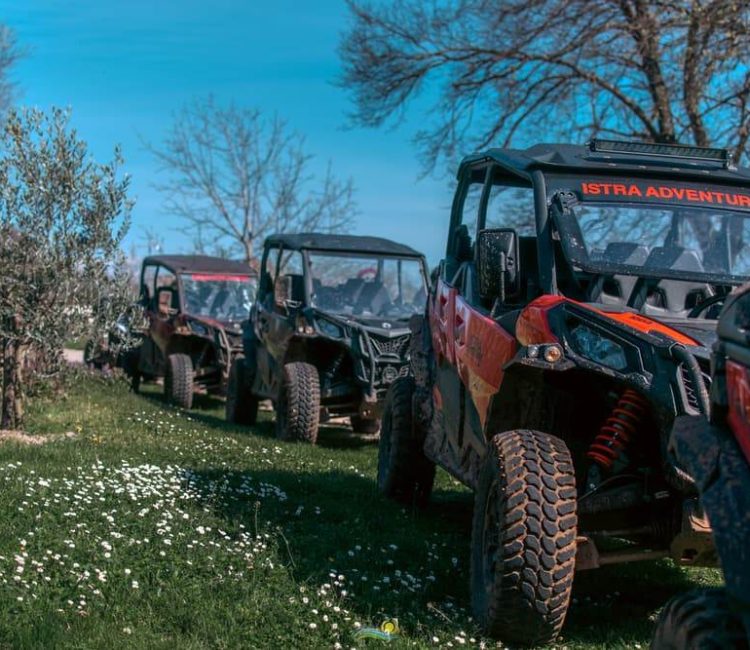 Buggy Safari Tour (10)