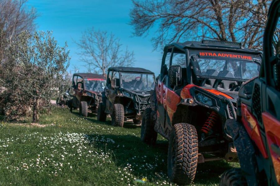 Buggy Safari Tour (10)