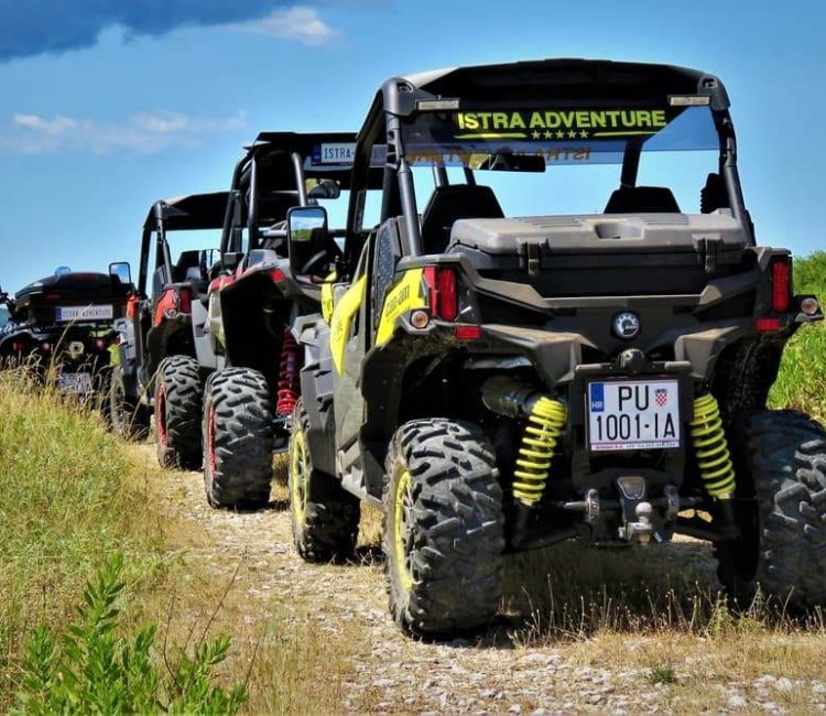 Premium Buggy Safari Tour