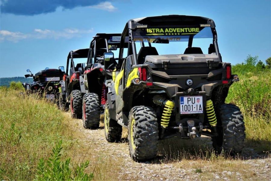 Premium Buggy Safari Tour