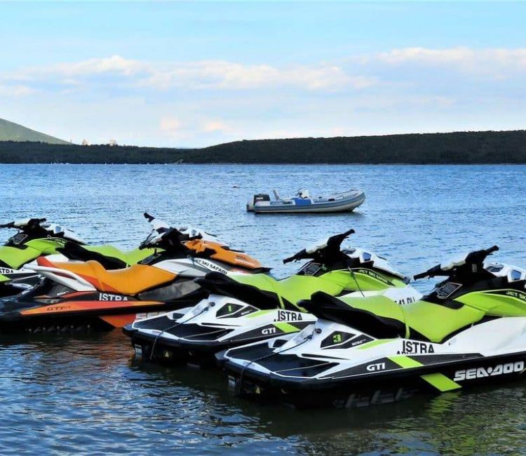 Premium Family Buggy Ski safari (7)